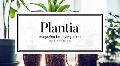 植物とあなたをつなぐPlantia