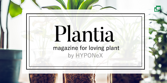 plantia