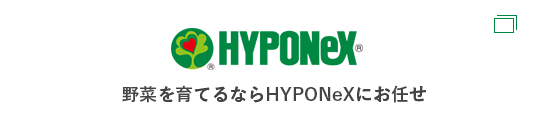 野菜を育てるならHYPONeXにお任せ HYPONeXサイトへ