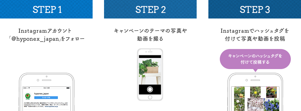 Instagram応募方法 STEP1:Instagramアカウント「hyponex_japan」をフォロー STEP2:キャンペーンテーマの動画や写真を撮る STEP3:Instagramでハッシュタグを付けて動画や写真を投稿