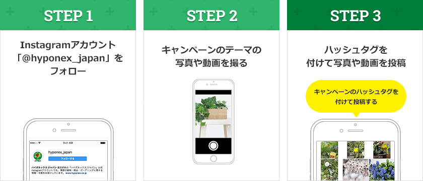 Instagram応募方法 STEP1:Instagramアカウント「hyponex_japan」をフォロー STEP2:キャンペーンテーマの動画や写真を撮る STEP3:キャンペーンのハッシュタグを付けて写真や動画を投稿する