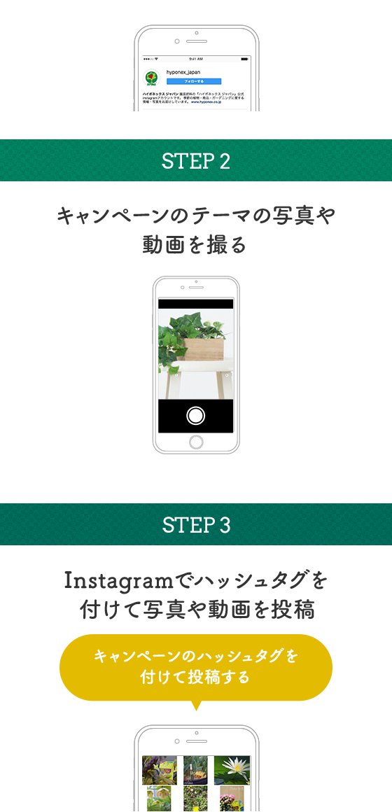 STEP2:キャンペーンテーマの動画や写真を撮る STEP3:Instagramでハッシュタグを付けて動画や写真を投稿