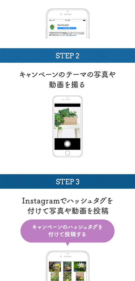 STEP2:キャンペーンテーマの動画や写真を撮る STEP3:Instagramでハッシュタグを付けて動画や写真を投稿