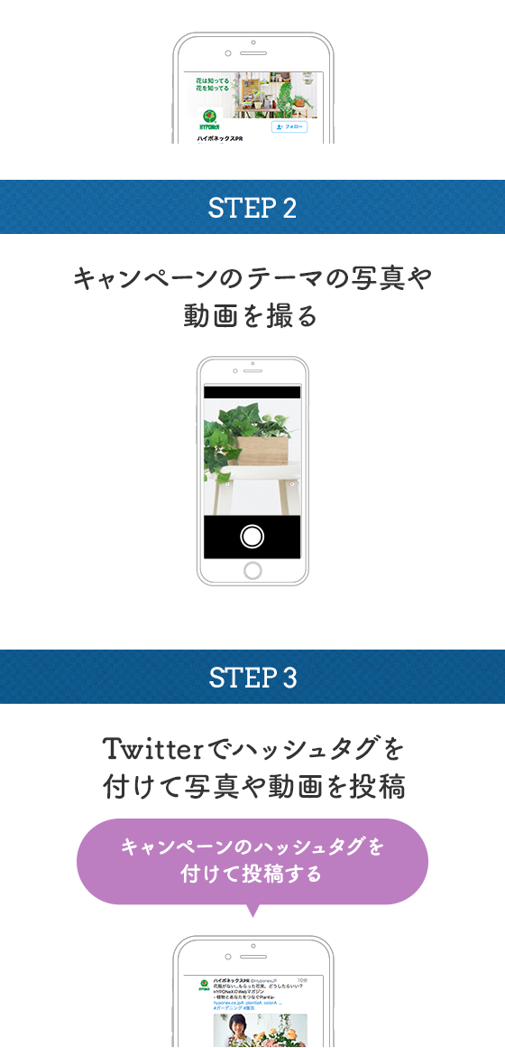 STEP2:キャンペーンテーマの動画や写真を撮る STEP3:Twitterでハッシュタグを付けて動画や写真を投稿