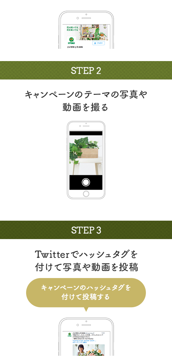 STEP2:キャンペーンテーマの動画や写真を撮る STEP3:Twitterでハッシュタグを付けて動画や写真を投稿