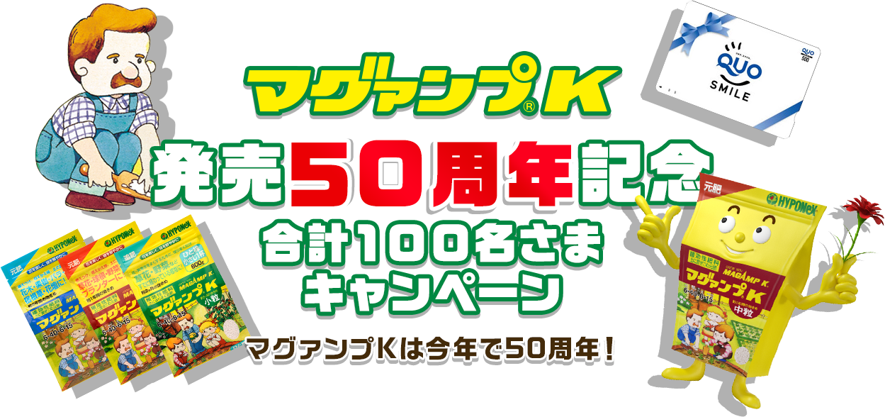 マグァンプK 発売50周年記念 合計１００名さまキャンペーン
