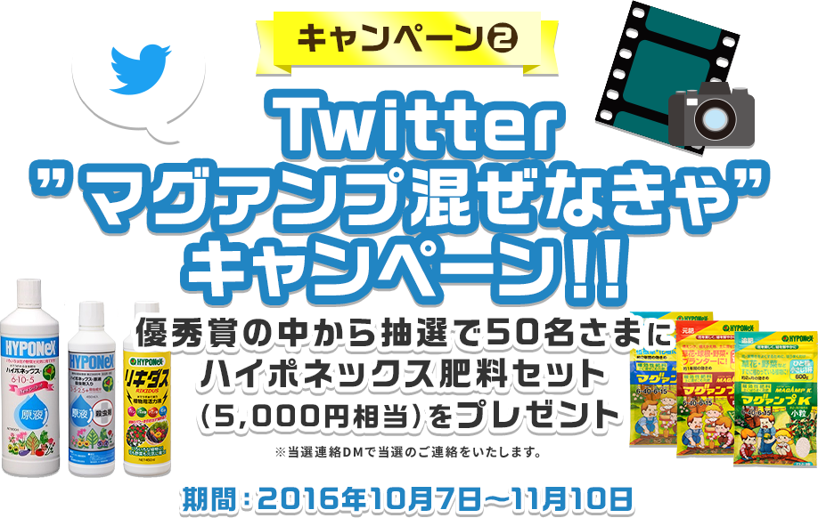 キャンペーン2 Twitter”マグァンプ混ぜなきゃ”キャンペーン！！
